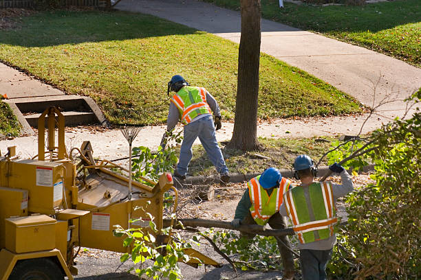 Lawn Pest Prevention in Erie, IL